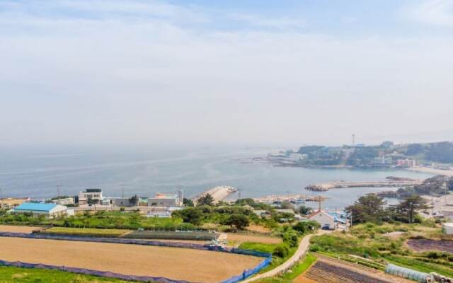 Pohang Sea and Tree Pension