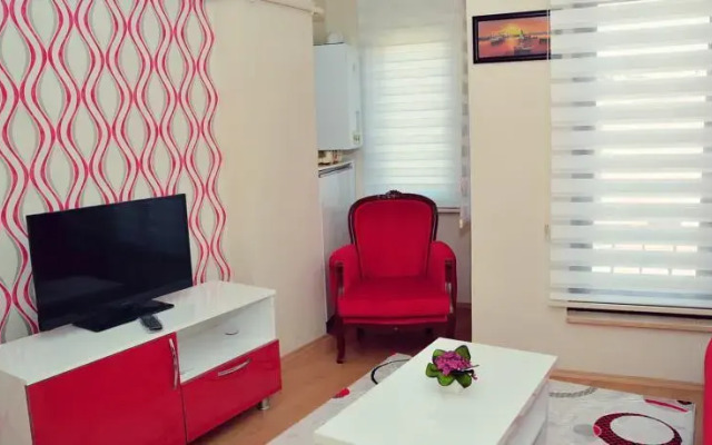 Acar Suite