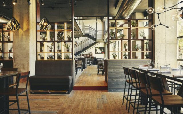 The Draftsman, Charlottesville, University, Autograph Collection Hotel