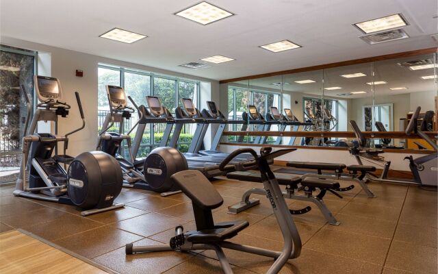 Hilton Austin Airport