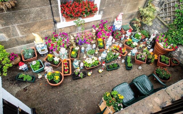 Georgian Apartment In City Centre Locals Favourite Neigbourhood