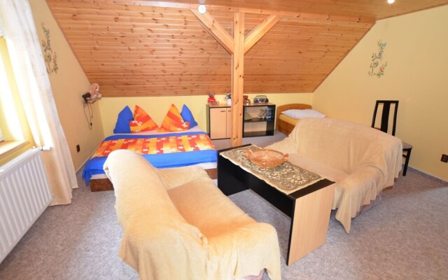 Modern Mansion in Bene ov u Semil With Pool