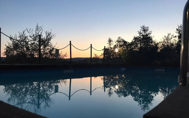 Il Pettirosso di Siena