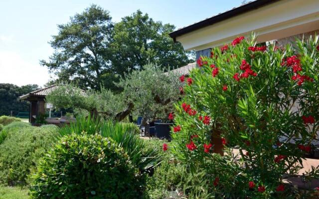 Villa Birds House Rovinj