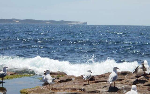 Cronulla Cottage B&B