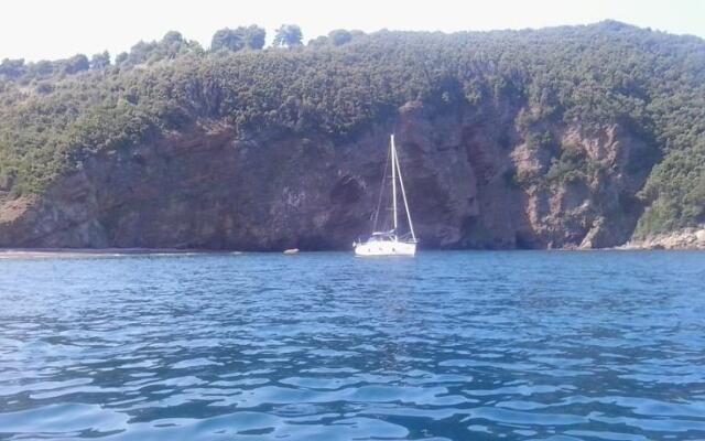 Barca A Vela Allisola Delba