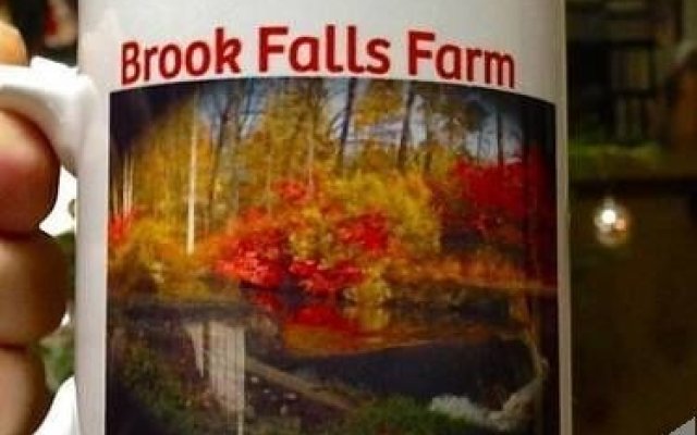 Brook Falls Farm