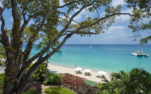 Coral Cove Beachfront Villas
