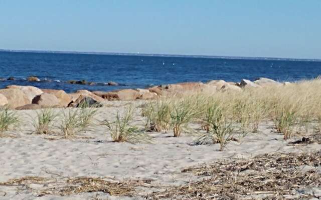 279 Alden - 3 Bedroom House