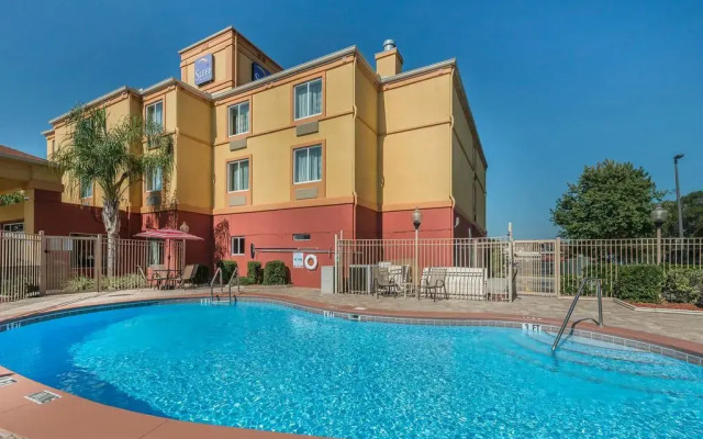 Sleep Inn and Suites - Ocala / Belleview