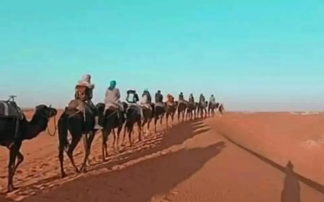Bihi Desert Camp