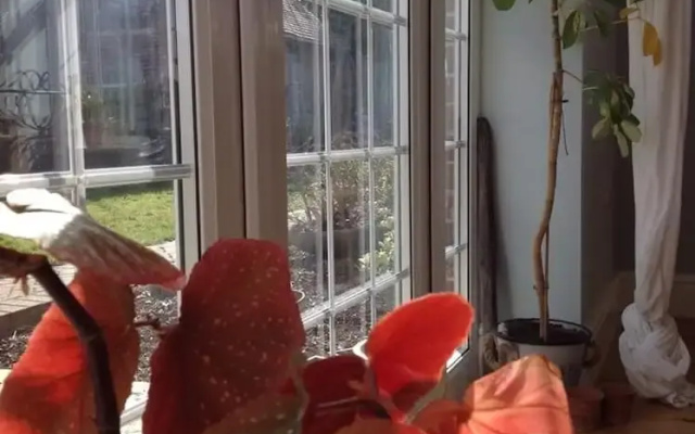 The Summer Room