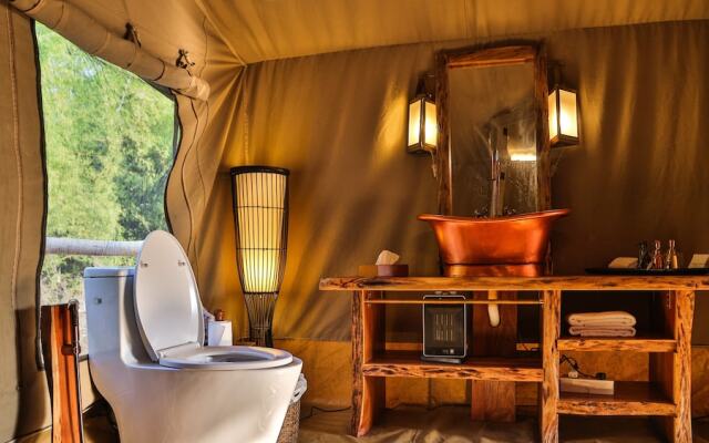 The Untamed Bandhavgarh by TUTC