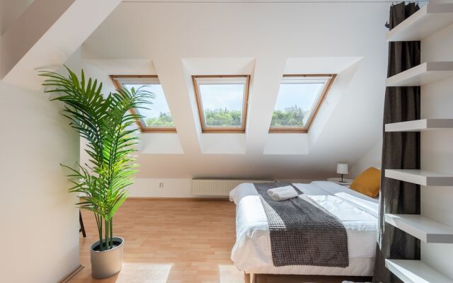 Modern apartment on Graficka