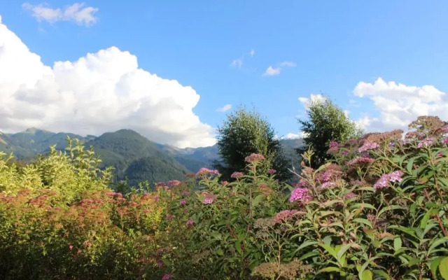 Park Hotel Bellacosta