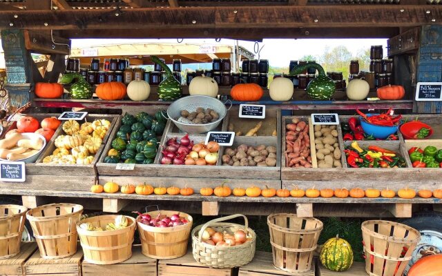 Burnside Organic Farm