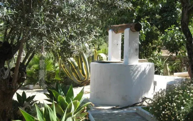 Cortijo Las Palmeras
