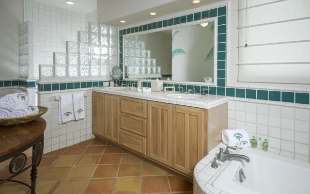 Blue Desert 1 Casa Edwards Too - Blue Agave