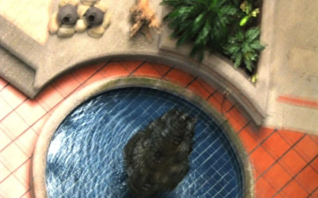 Hotel Reforma