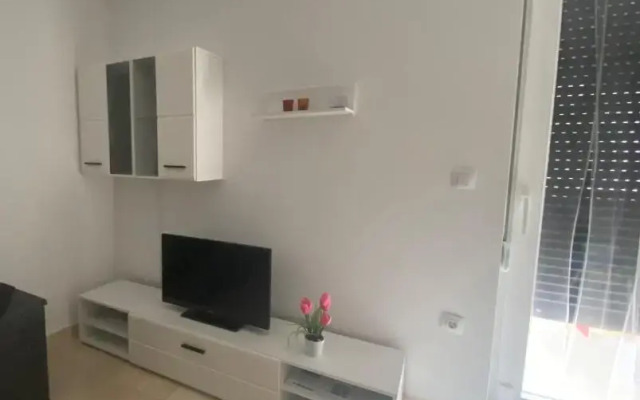 Luxury Apartment Ani with Pool 100m to See