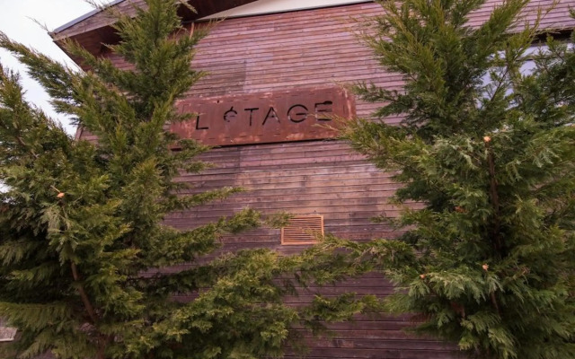 Studio Mountain View