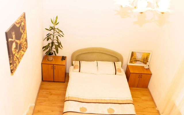 Біля цирку (Near the circus)