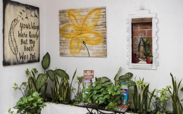 Coconut Hotel Boutique