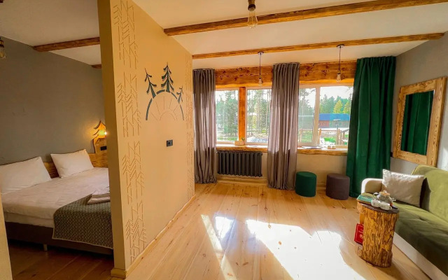 Ёлки(Архангельская)