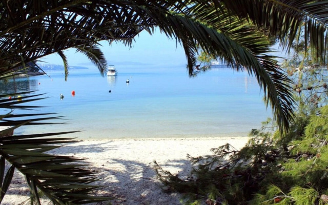 Natali - 5 M From the Beach - A6