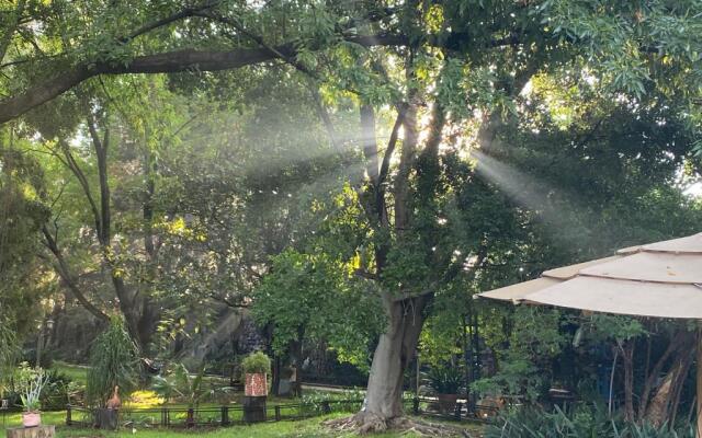 Magnolias Jardin & Boutique Suites