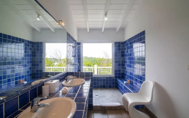 Dream Villa Terres Basses 578