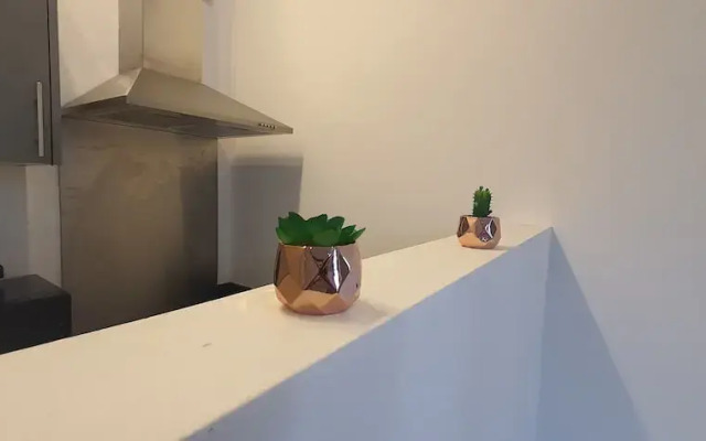 Big one Bedroom Apartment