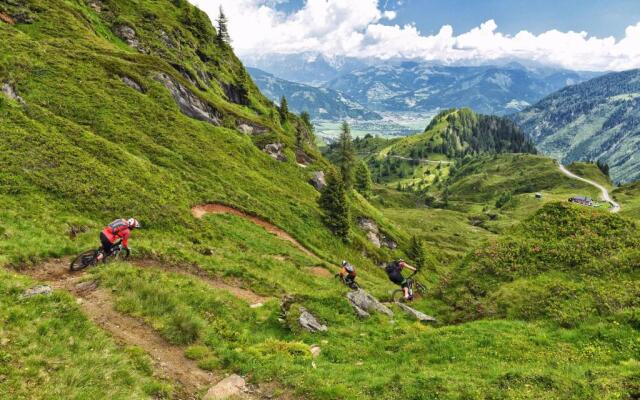 TOP 601 Lothringen house