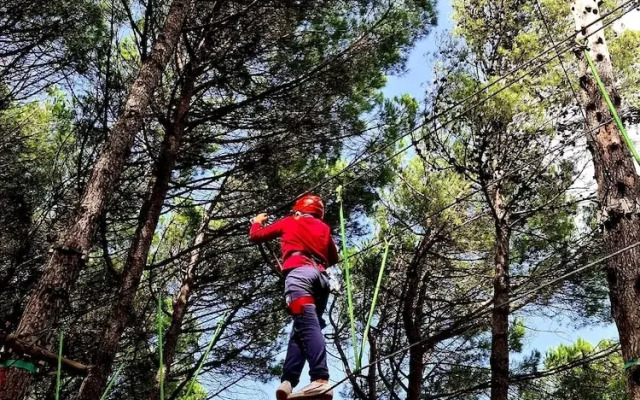 Etna Panoramic Villa With Swimming Pool