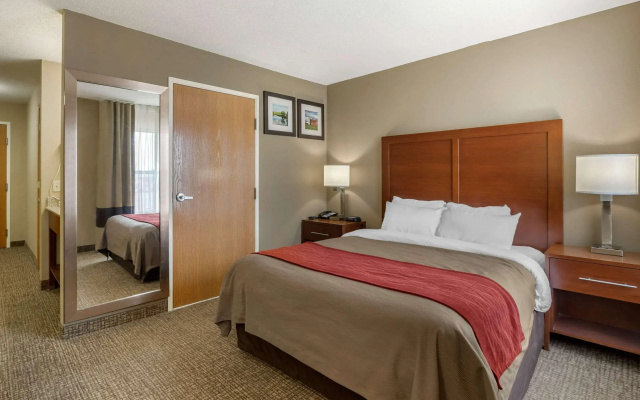 Comfort Inn Walcott near Davenport