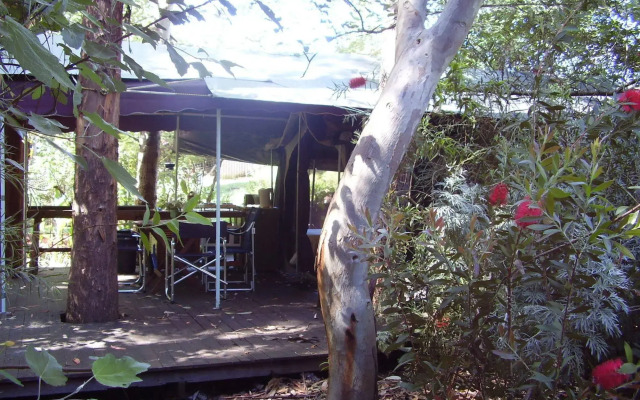 The Black Cockatoo Nannup