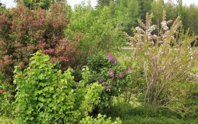 English Experience Bed and Breakfast