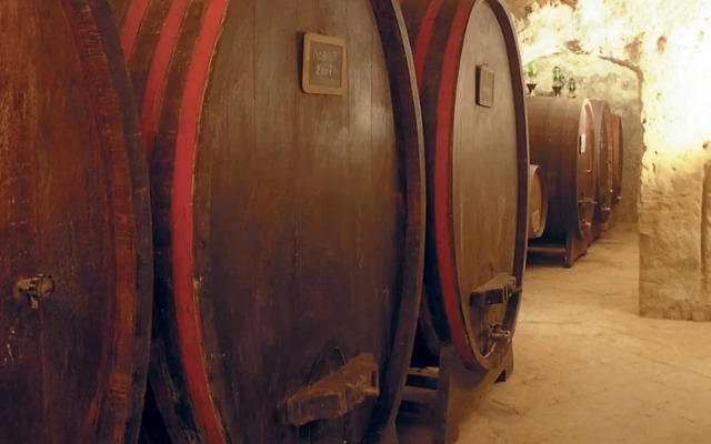 Tenuta S. Agnese