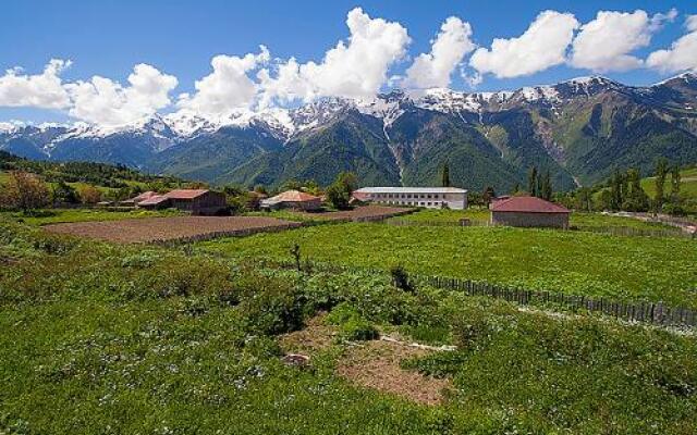 Hanmer Guest House