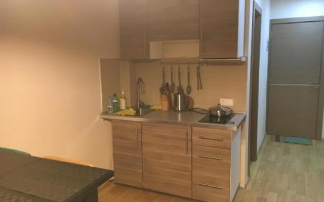 Apartments in New Gudauri 2