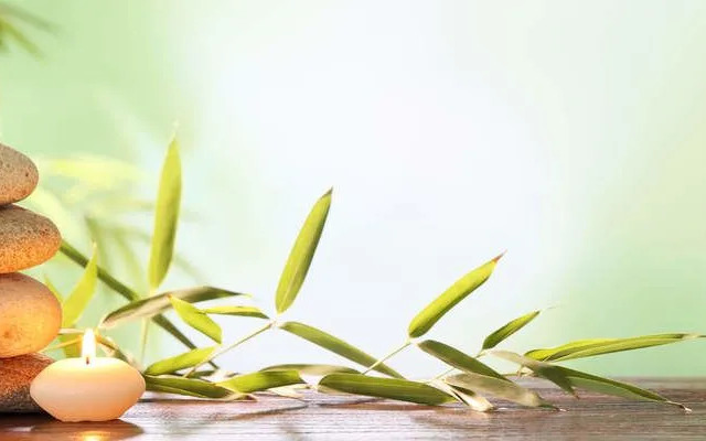 Tropical Villas Beach Da Nang