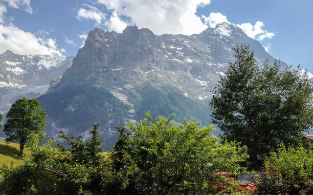 Chalet Bergfink