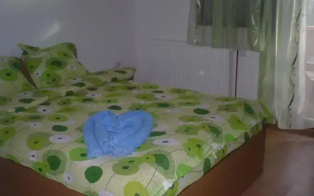 Cabana Ioana Balas