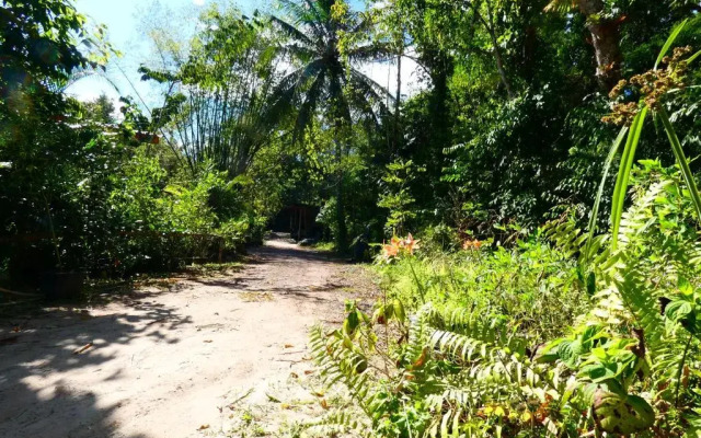 Chom Suan Homestay