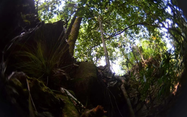 Ecolodge Las Nubes Chiapas