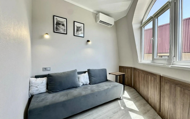 Orange Apart (Orange Apart) President