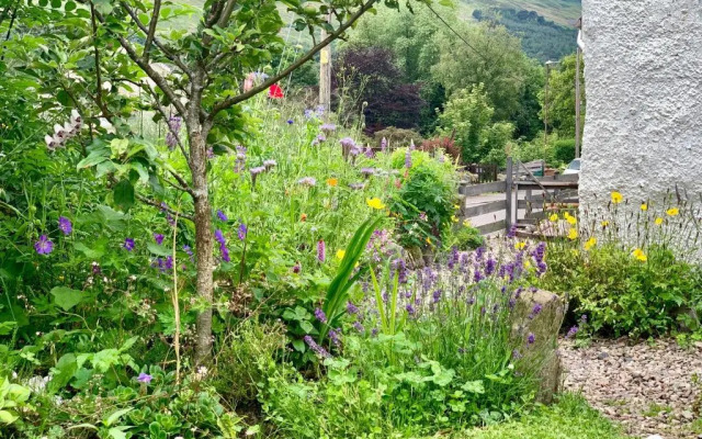 Wester Auchraw Croft B&B