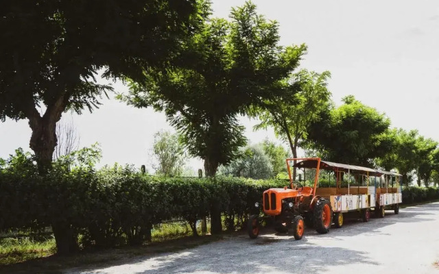 Residence Mare Pineta