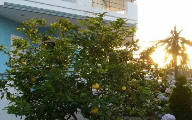 Apartment Villa Blu