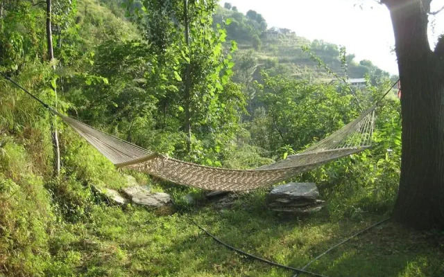 Himalayan Orchard Huts